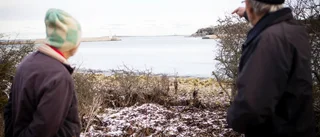 Långsam flytt för museet – "Vi bygger när vi har pengar"