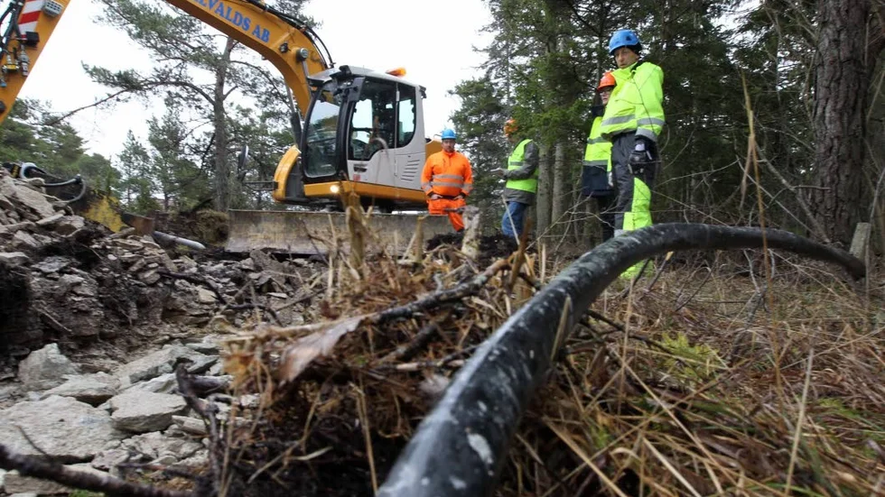 För att minska antalet strömavbrott har elledningarna, på vissa ställen, grävts ner i marken.