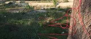 ”Plastmuggskonstnär” tar sig an kalkbrottet