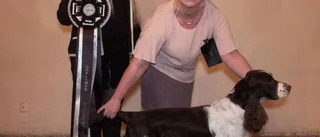 Här är Gotlands vackraste hundar