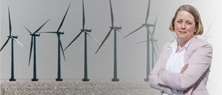"Det känns som att svenska lagstiftare har förpassat sig till läktaren när det gäller klimatomställningen"