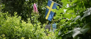 Städerna klarar sig inte på egen hand – vi måste hitta tillbaka till naturen