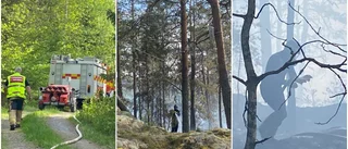 Räddningstjänsten släckte skogsbrand i svår terräng: "Det är bergigt och dant"