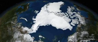 Är ditt företag klimatsmart?