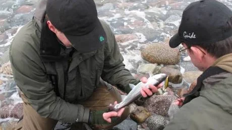 beundrar. Peter Högberg, till vänster beundrar fisken tillsammans med Per Jobs.