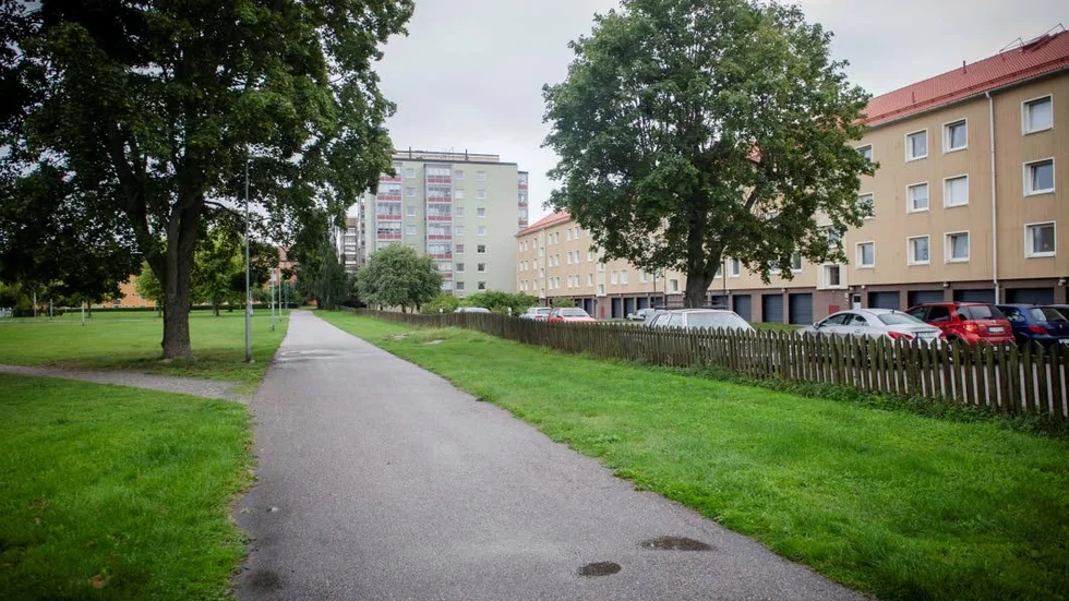 Ytan fram till trädet vänster i bild ägs av föreningen.