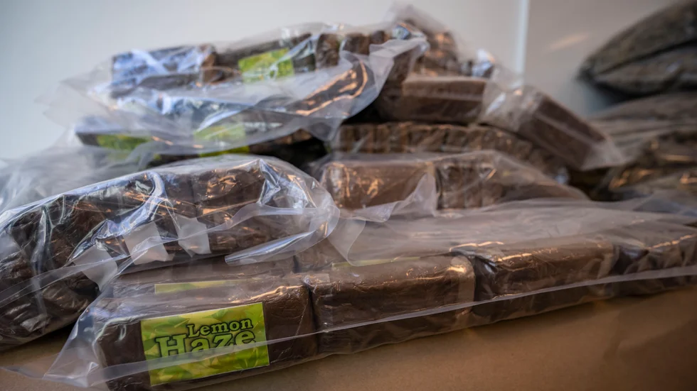 En ung man döms till sju månaders fängelse för innehav av nästan ett kilo cannabis. 