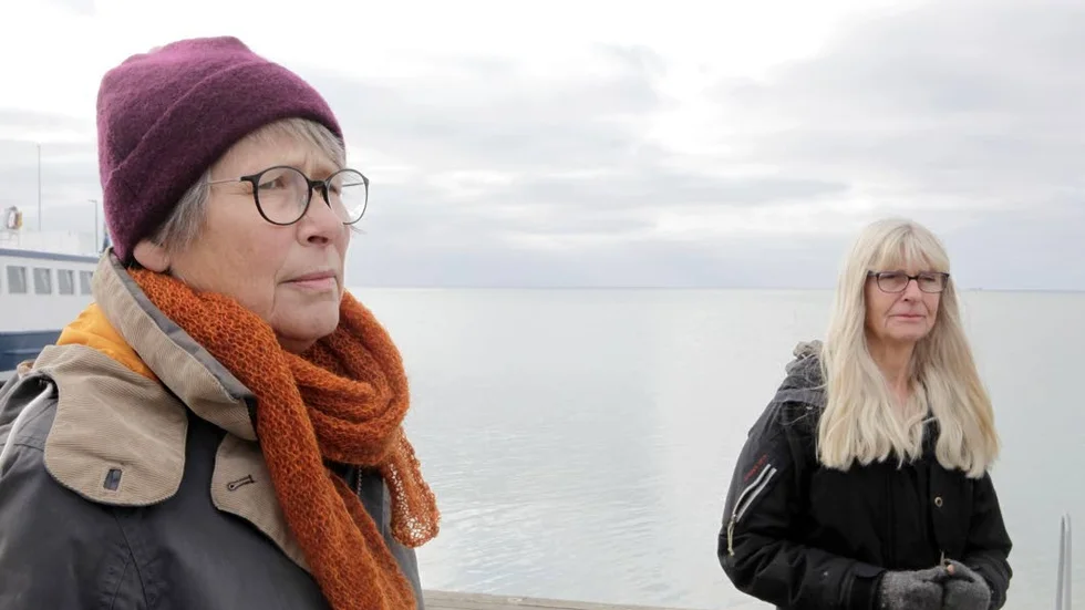 Nillan Molin och Gunilla Britse i hamngruppen är oroliga för att bli överkörda av regionen i frågan.