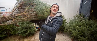 Bästa tipsen: Så håller du granen fin över jul