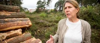 Attendo får fortsätta i Burgsvik
