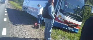 Buss i diket