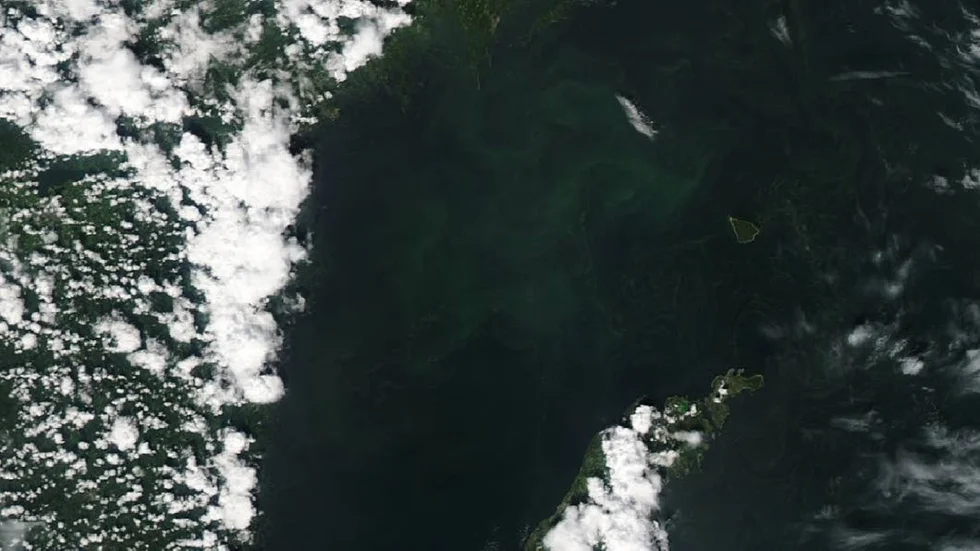 Satellitbild över Östersjön