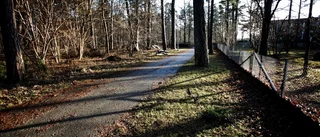 Två häktade för brutalt överfall mot 65-åring