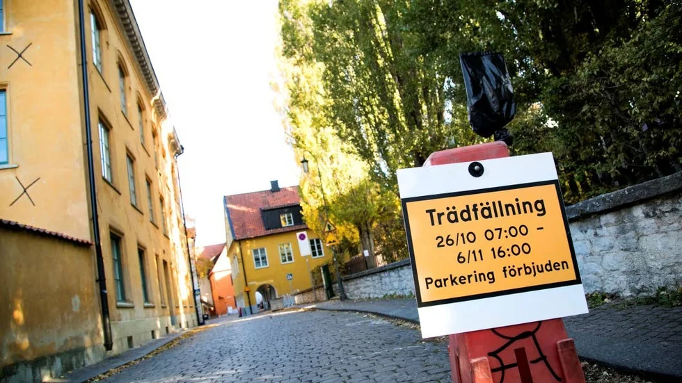 Arbetet kommer att pågå till och med sjätte november.