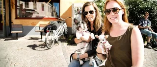 Högsommar i Visby: Det här gör turisterna