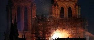 Vårda Notre Dame hemmavid!