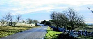 Sveriges vackraste väg kan finnas på Gotland