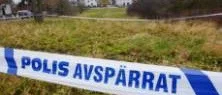 Färre våldtäkter än tidigare somrar