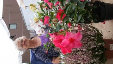Maj-Britt Jakobsson, Kvie trädgård i Lojsta, säljer blommor och perenner.