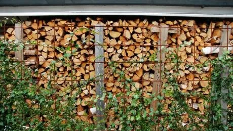 Oljepanna? Nej, inte med dagens oljepris och miljöförstöring. Elpanna? Knappast. Direktverkande el? Inte ens om det blir en ny oljekris. Det är i stället den lokalt producerade och miljövänliga veden som är hetaste uppvärmningskällan just nu.