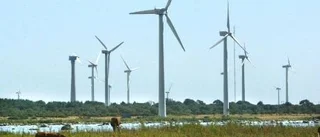 Egenintresset löser klimatkrisen - elen behöver stabilitet inte käbbel