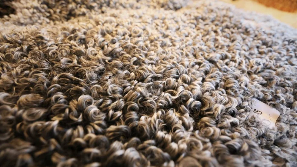 Den tåliga locken är en styrka med skinnet från Gotlandsfåren.