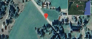 Fallna träd skapar problem i trafiken