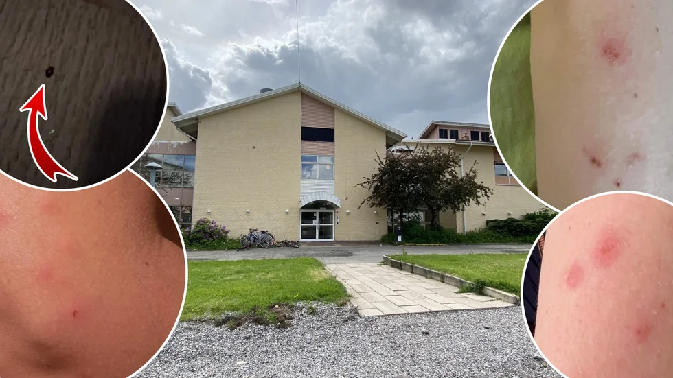 "Så fort vi går från hotellet mår vi väldigt bra. Strängnäs är fint och svenska folket är underbart. Men när vi kommer tillbaka till hotellet så mår vi dåligt. Vi är rädda", säger en Mälarblicksboende ukrainare till tidningen. 