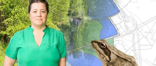 De avgörande frågorna för H2 Green Steel: • Leda om en bäck •  Fridlysta grodor och växter • Utsläpp