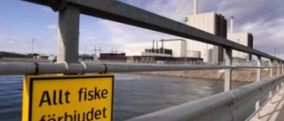 Förnybar energi ger trygghet