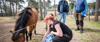 Ridsport på Gotland – hur vill vi ha det framåt?