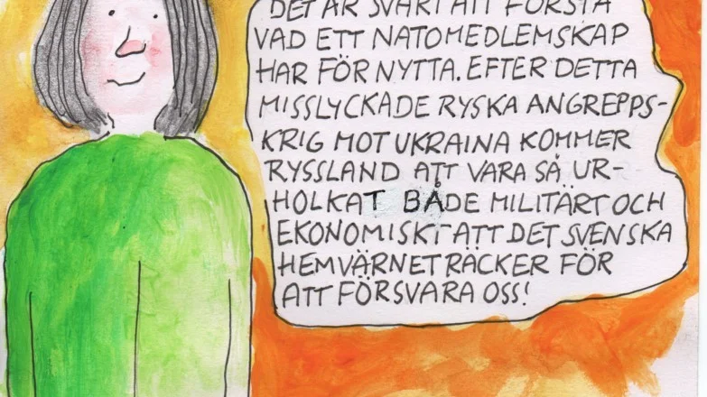 Max Claesson tycker inte att vi behöver gå med i Nato.