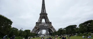 Kämpar för träd i Paris: "Stadens lungor"