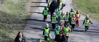 De protesterar – för att rädda elefanter