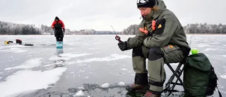 FISKE: Bronsmedalj till pimpeldamer
