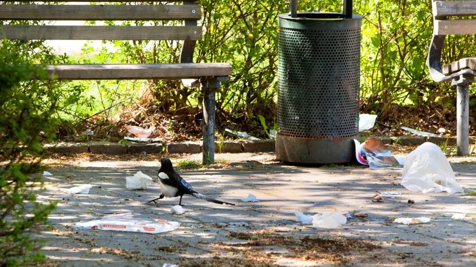 Klistermärkena upptäcktes på lyktstolpar och papperskorgar i park i Ödeshög.