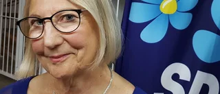 SD räknar med ökat inflytande i Linköping