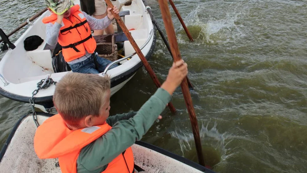 Ett par rejäla slag med pulsarna skrämde in fiskarna i nätet.