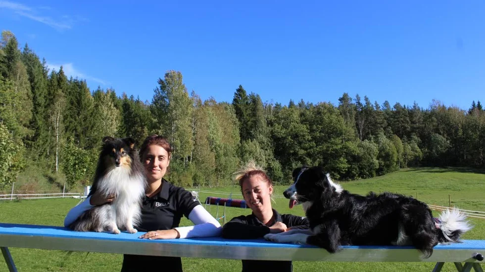 Isabelle Jansson och Louise Persson har utvecklat sitt hundintresse och satsar nu på företaget LoBells. De vill dela med sig till av sin träningsglädje till andra hundägare.