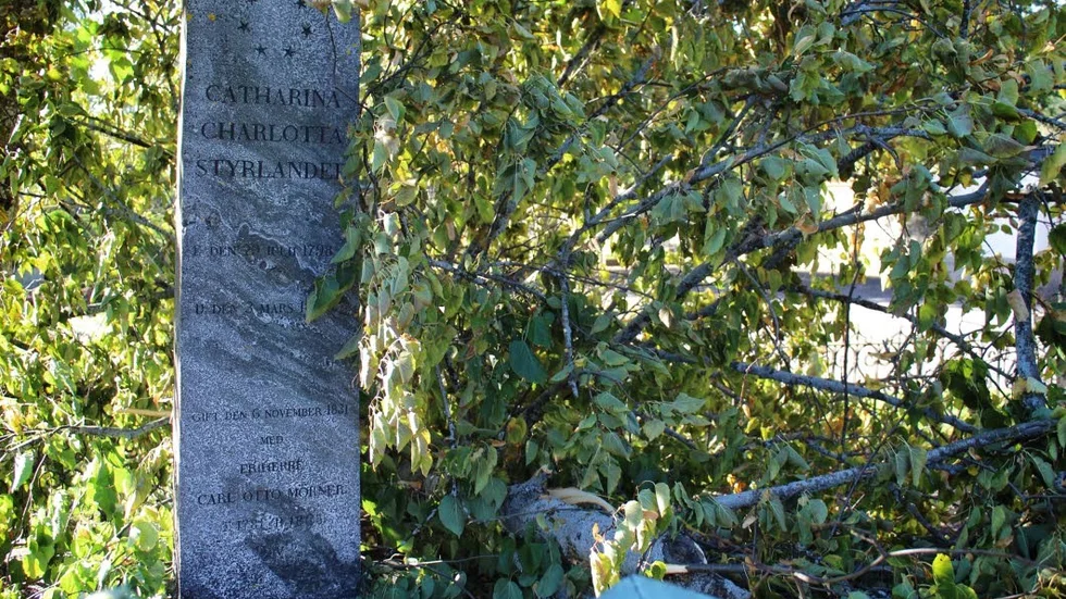 Trädet föll över gatan på kyrkogården och landade över Mörners släktgrav.