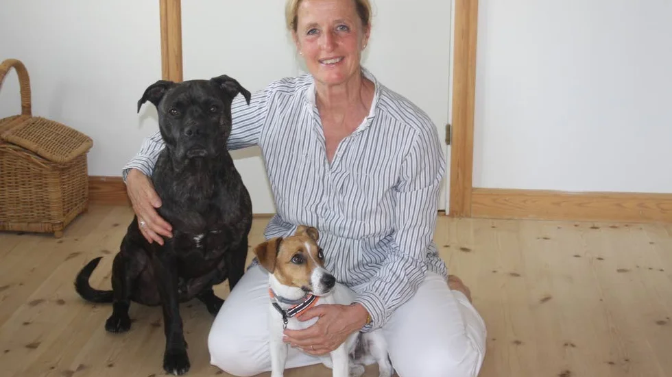Dotterns hund Rambo till vänster och Evas hund Alfons till höger.
