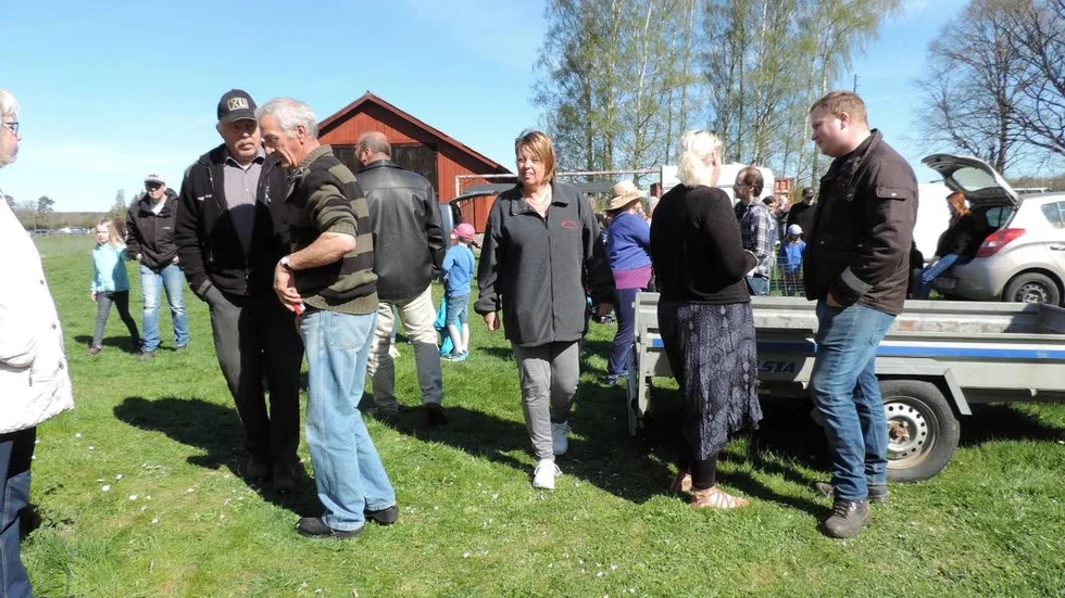 Säljare, nyfikna och spekulanter i en blandning på Klockrikevvallen.