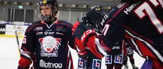 Upplägget förstör för damhockeyn