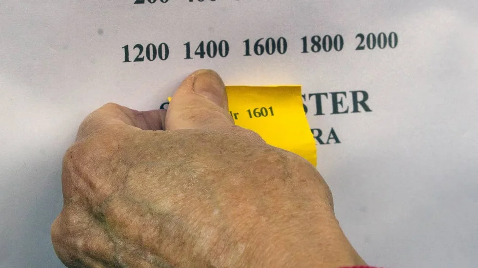 ... och lite försmädligt var hon bara en ynka siffra ifrån högvinst.