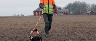Ett roligt jobb – men riskfyllt