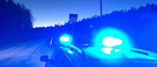 Älgolycka efter E22