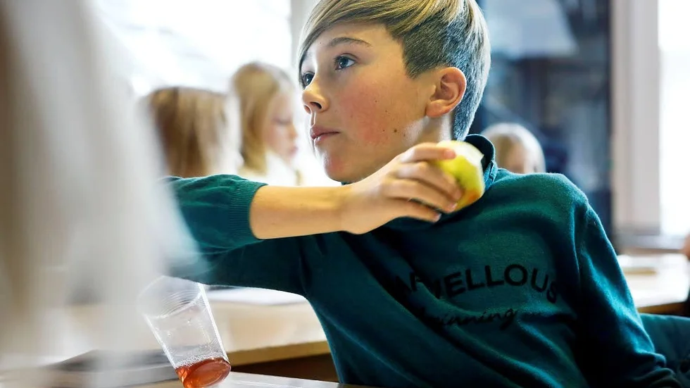 Ossian Kemi läser gärna mangaserier och vill lära sig mer om hur han kan teckna dem.