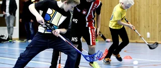 Solfjäderstaden får kungligt stöd