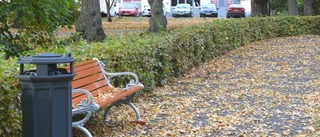 "Jag lär mig nya saker varje dag"