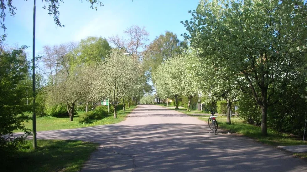 Här finns plats för tolv villatomter.